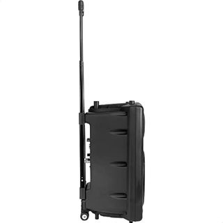 Ibiza - PORT12VHF-BT - REACONDICIONADO marcas minimas, Altavoz portátil 12"/700W MAX con 2 micrófonos (VHF), Mando a Distancia y Funda Protectora - Bluetooth, USB, SD - Autonomía de 5 a 7h - Speak...