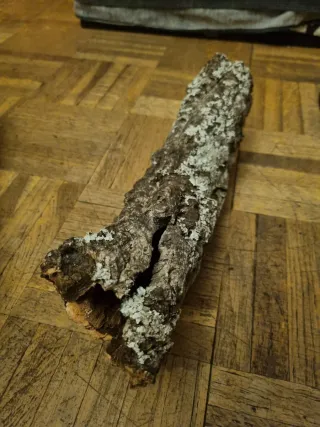 Corcho natural para terrario/hábitat