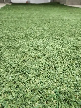 Césped artificial verde, dispongo de varios trozos