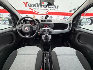 FIAT Panda 1.2 4cil 12/2020 Etiqueta ECO