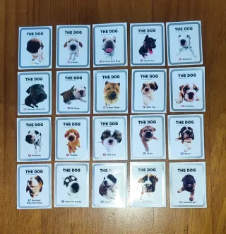Colección Cromos Perros Matutano Completa