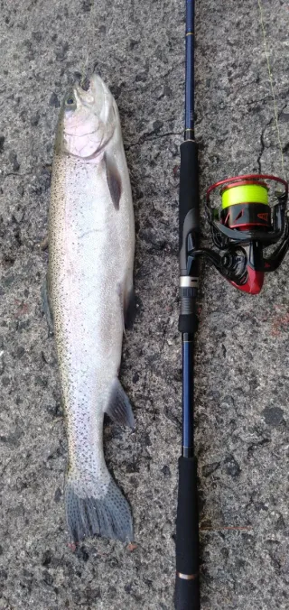 Carrete de pesca spinning KastKing