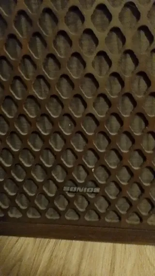 Altavoces Sony Marrones