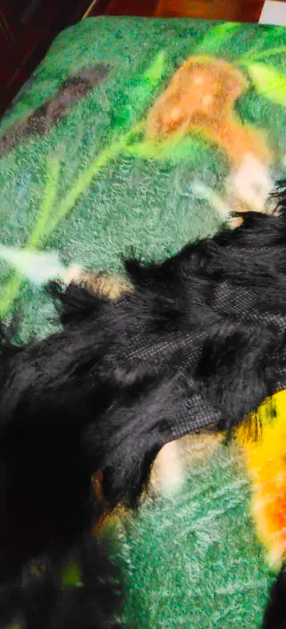 Chaqueta Zara Flecos Talla Única