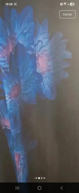 Vestido BIMBA y LOLA