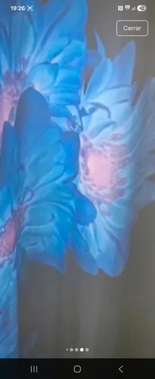 Vestido BIMBA y LOLA