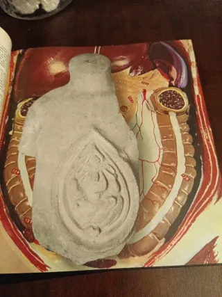 Historia de la Medicina, Editorial Codex 2 Tomos