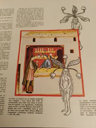 Historia de la Medicina, Editorial Codex 2 Tomos