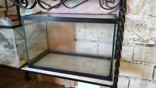 Conjunto acuarios 80L y 40L con Mueble