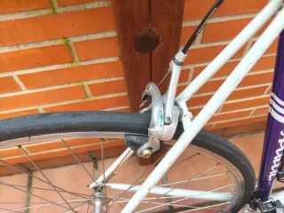 Bicicleta Carretera Atala Cesare Rizzato