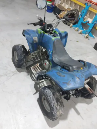 Quad ATV 110cc Azul y Verde