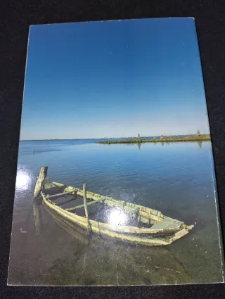 Tre guide vintage: Milano, Pomposa, Delta del Po