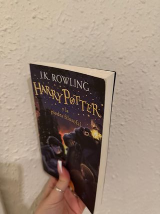 Harry Potter y la piedra filosofal (Harry Potte...