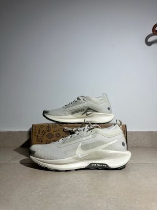 Nike Pegasus Trail 5 Gore-Tex Gris