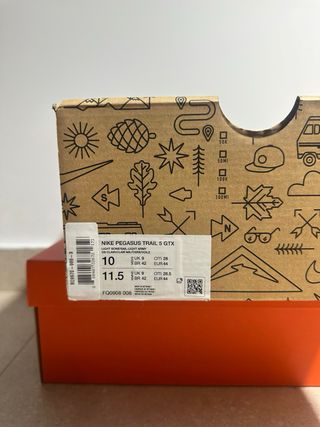 Nike Pegasus Trail 5 Gore-Tex Gris