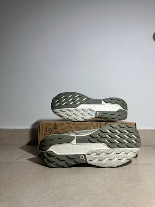 Nike Pegasus Trail 5 Gore-Tex Gris