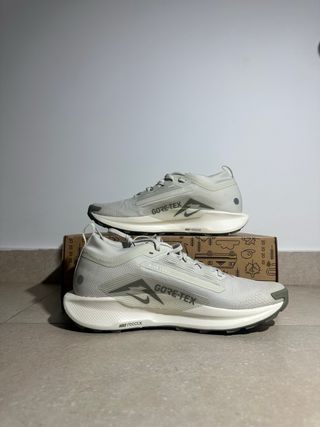 Nike Pegasus Trail 5 Gore-Tex Gris