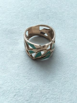 Anillos y pendientes plateados