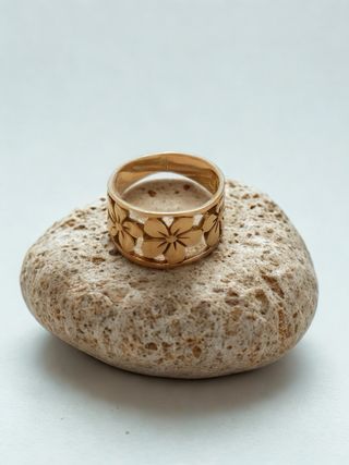 Anillos y pendientes plateados