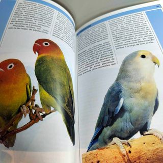 Libros sobre el Cuidado de Agapornis