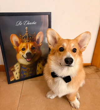 Stampa personalizzata del tuo animale domestico