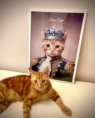 Stampa personalizzata del tuo animale domestico