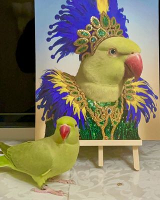 Stampa personalizzata del tuo animale domestico