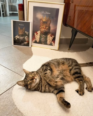 Stampa personalizzata del tuo animale domestico