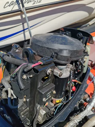 Semirrígida 4,5m + Mariner 40cv + Remolque +Sonda