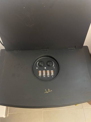 Estufa eléctrica negra con detalles dorados