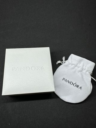 Pulsera Pandora Plata