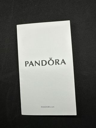 Pulsera Pandora Plata