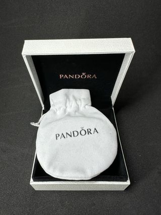 Pulsera Pandora Plata