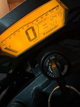 Kawasaki Z 250 SL Naked Verde