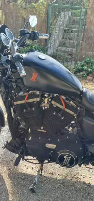 Harley Davidson sposter 883 iron