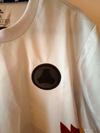 Pack 2 Camisetas Deportivas Adidas y Nike Talla M