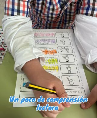 Maestra en PT (pedagogía terapéutica)