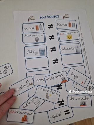 Maestra en PT (pedagogía terapéutica)