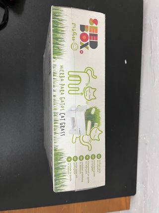 Seed Box Box per Erba per Gatti