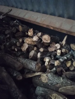 Leña de encina de calidad