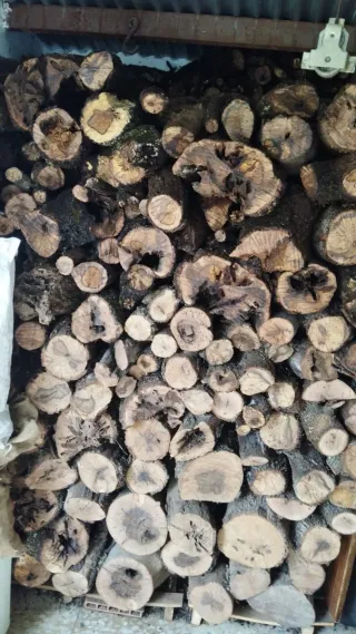 Leña de encina de calidad