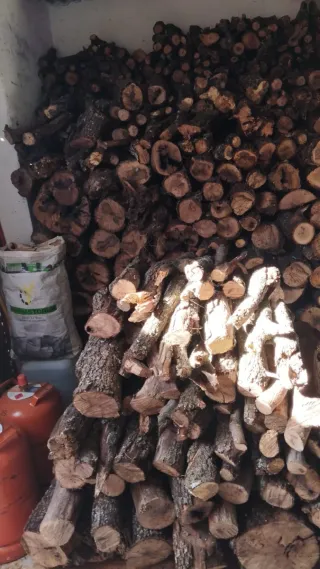 Leña de encina de calidad