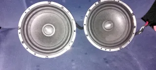 Pareja Altavoces para coche