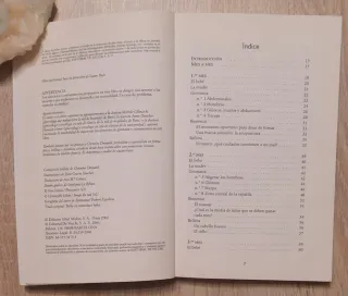 Bella esperando al bebé