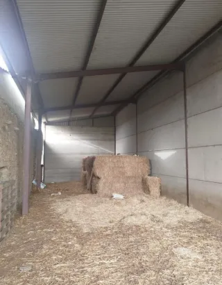 Finca Ovejera 255 Hectáreas en Cáceres