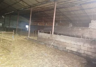 Finca Ovejera 255 Hectáreas en Cáceres