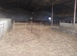 Finca Ovejera 255 Hectáreas en Cáceres
