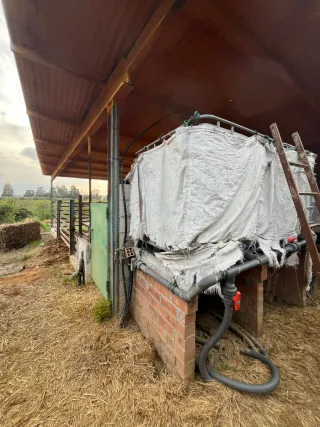 Finca rústica productiva en Campanillas