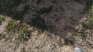 Contenedor metálico , 2,30x5 .