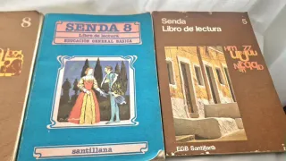 Lote 4 libros egb senda 5 6 8 8
